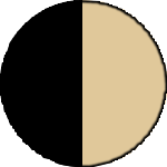 Color Icon